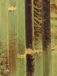 Revestimiento hecho de la capa exterior de bambú