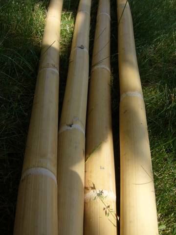 tiras de caña, varas de ratán, bambú rattan